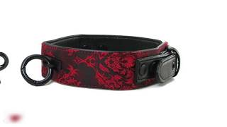 Ошейник с цепью Scandal Collar with Leash атласный