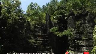 走近科学 峡谷里的"定海神针" 走近科学 2011年 第41期