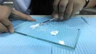 Zinc Oxide Eugenol - Dental Materials Lab