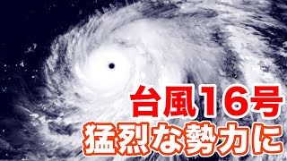 台風16号情報　猛烈な勢力に発達　関東への最接近は10月1日(金)頃か