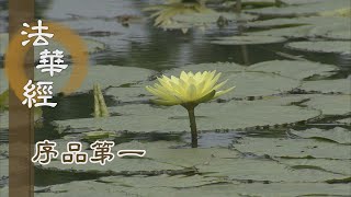 【靜思妙蓮華】20200211 - 慈悲十力無畏起 - 第155集