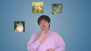 Deep Learning with MATLAB: Training a Neural Network from Scratch with MATLAB