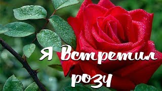 Я ВСТРЕТИЛ РОЗУ / Разбор на гармони