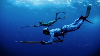 spearfishing new caledonia / plongée sous marine nouvelle calédonie