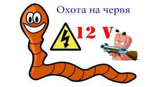 Добыча червяка с помощью аккумулятора в полевых условиях