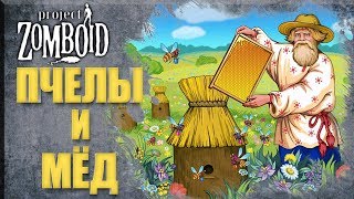 Добыча мёда - Project Zomboid прохождение №15