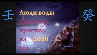 БАЦЗЫ. Прогноз на 2020 год для людей Воды. Господин Дня Вода Ян или Инь