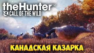 ОХОТА НА КАНАДСКУЮ КАЗАРКУ - The Hunter: Call of the Wild (стрим) #15