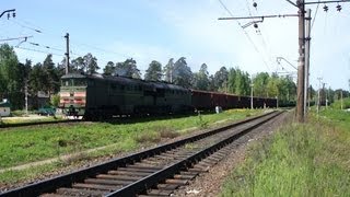 2ТЭ116-1561 с грузовым поездом заходит на станцию Вырица (RZD)