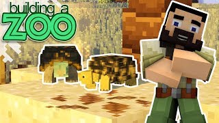I'm Building A Zoo In Minecraft! - Box Turtles And Aviary! - EP06