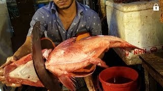 Big Carp Fish Cutting | Huge Silver Carp Fish Slice into Pieces