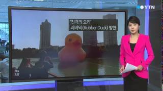[인터넷 · 이슈] '힘들었던 러버덕' / YTN