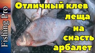 Зимняя рыбалка. Ловля леща на Можайском водохранилище.