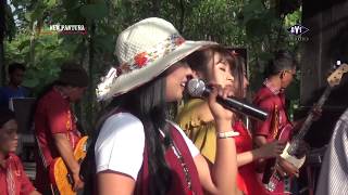 Acha kumala - Kehilangan Tongkat | NEW PANTURA LIVE KLEWOR KEMUSU