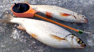 Зимняя рыбалка на севере Стофети и компания 2017 4  Fishing in the north of Russia