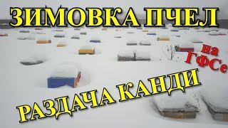 Зимовка пчел на ГФСе. Раздача канди / FABRO
