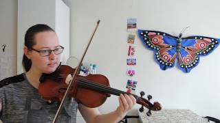 2 years of violin playing - Adult beginner violinist - Update video