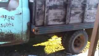 1957 Studebaker Truck Cold Start