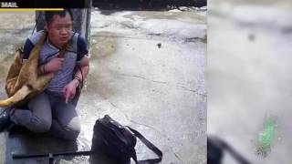 В Китае к столбу привязали воров собак | Смотреть всем