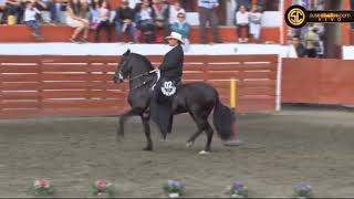 Campeonato Caballos De Trote Y Galope, Supatá Grado B 2018