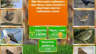 В мире животных. Ответ на 31, 32, 33, 34, 35 уровне.