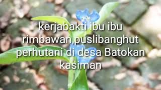 Kegiatan ibu ibu rimbawan,PUSLITBANGHUT PERHUTANI yg bertempat di desa Batokan,kasiman,bojonegoro.