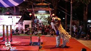Múa Lân Vy Anh Đường - Liên Hoan Lân Sư Rồng Tân Hiệp Đường 2019
