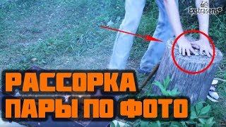 Рассорка пары по фото на змеиной коже