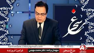 Iran, فرامرز فروزنده « دولت آمريکا و دولت سپاه پاسداران » ـ محمد سهيمي ؛