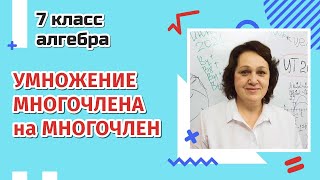 7 класс. Алгебра . Умножение многочлена на многочлен .