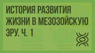 История развития жизни в мезозойскую эру. Ч. 1. Видеоурок по биологии 11 класс