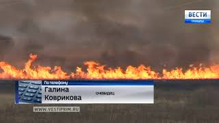В Кавалеровском районе Приморья горит тайга