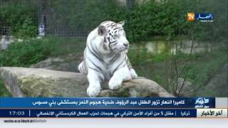 كاميرا النهار تزور الطفل عبد الرؤوف ضحية هجوم النمر بمستشفى بني مسوس