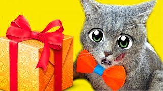 РАСПАКОВКА ПОСЫЛКИ. ЭТО ПОДПИСЧИК ИЛИ КИСА АЛИСА С MAGIC FAMILY? Петшопинг товаров для животных