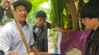 น้ำมะพร้าวเทียมสุดยอดอาหารจุลินทรีย์และพืช