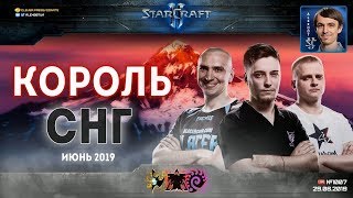 Король СНГ в StarCraft II: Все против Блая! Июнь - 2019