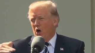 Donald Trump insults Mitch McConnell at press conference about taking money from lobbyists