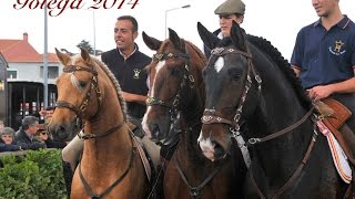FEIRA DO CAVALO GOLEGA - GOLEGA LUSITANO FAIR (PORTUGAL) 2014