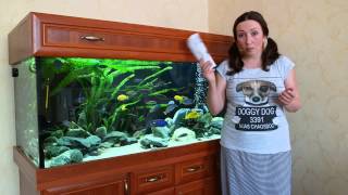 UV-стерилизатор в аквариуме: как этим пользоваться. На примере EHEIM reeflex UV500