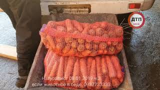 Поездка на спасение животных под Киевом на ферме Натуралист 08.01.2019 часть 2: нашли брошенных коне