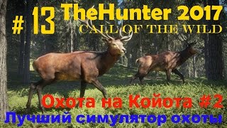 TheHunter 2017.  Симулятор охоты # 13. Охота на койота №2!!!