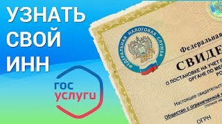 Как узнать свой ИНН? Смотрим ИНН онлайн на сайте Федеральной налоговой службы nalog.ru