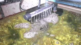 Resun / Clear Seal Magi-200 Filter in a 50L aquarium.