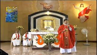 Fr. Augustine Vallooran VC (Be patient with God) (Holy Mass Homily) (English)