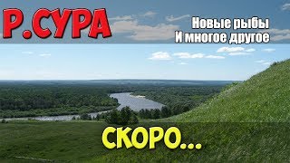 Русская рыбалка 4: Обновление "р.Сура" скоро..