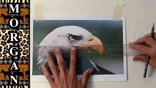How to Transfer a Drawing / photo to Canvas for Painting - Jason Morgan Wildlife Art