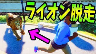 ライオンが脱走するような動物園をつくります -Planet Zoo#1【KUN】
