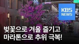 [똑! 기자 꿀! 정보] 한겨울 벚꽃과 마라톤을 즐겨요…제천 여행 / KBS뉴스(News)