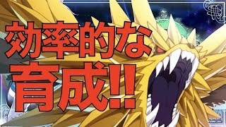 【エピックセブン】初心者向け 効率的な育成を解説!!【攻略動画】