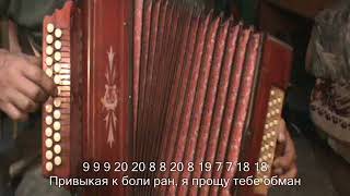 Молодая с нотами в цифрах